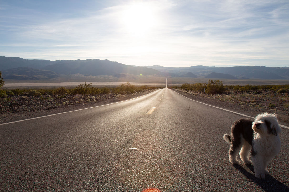 A Postcard from the 395